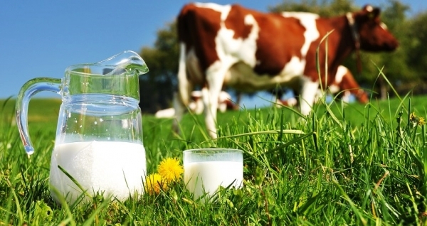 ανάλυση γάλακτος